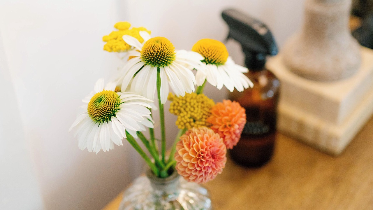 Photo of Outdoor in Glen Ellen