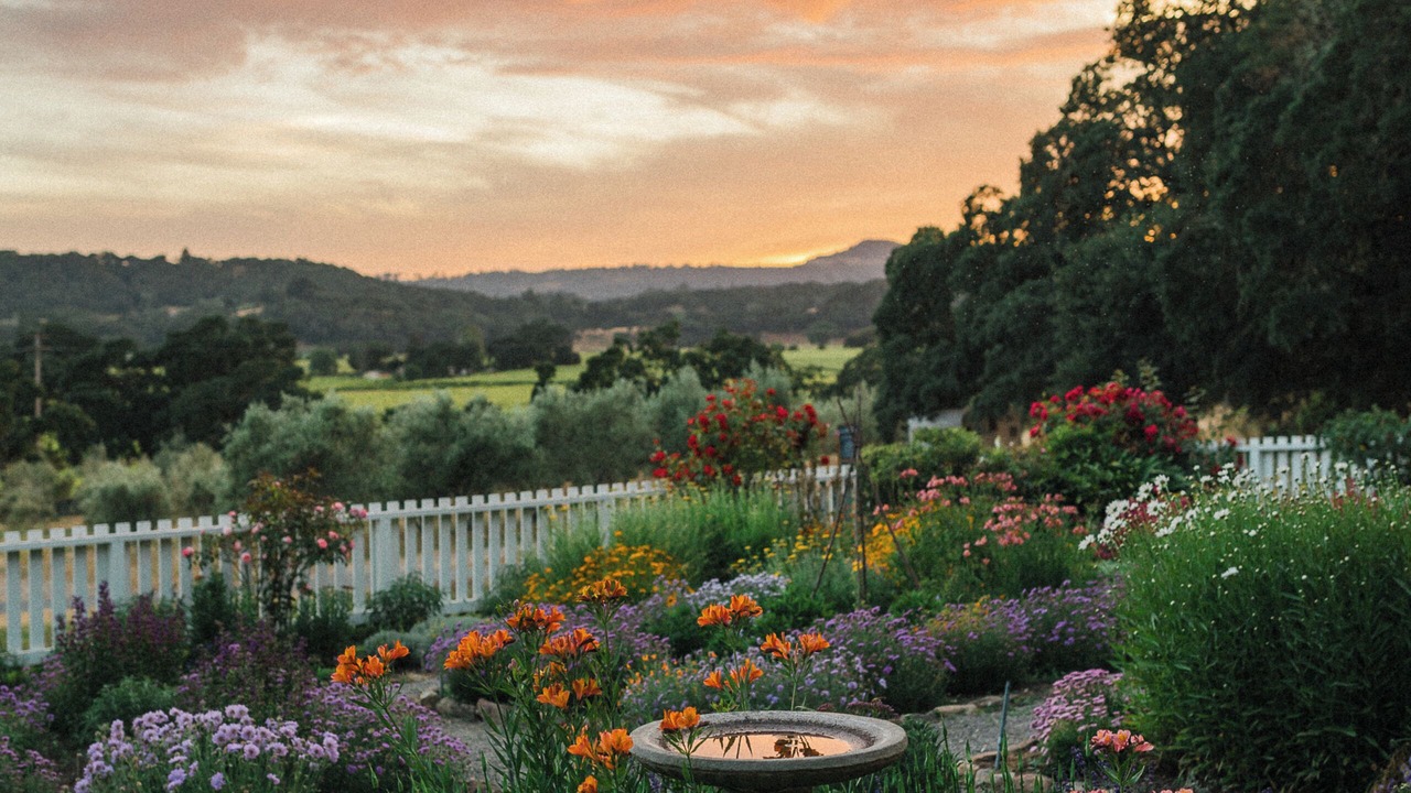 Photo of Others in Glen Ellen