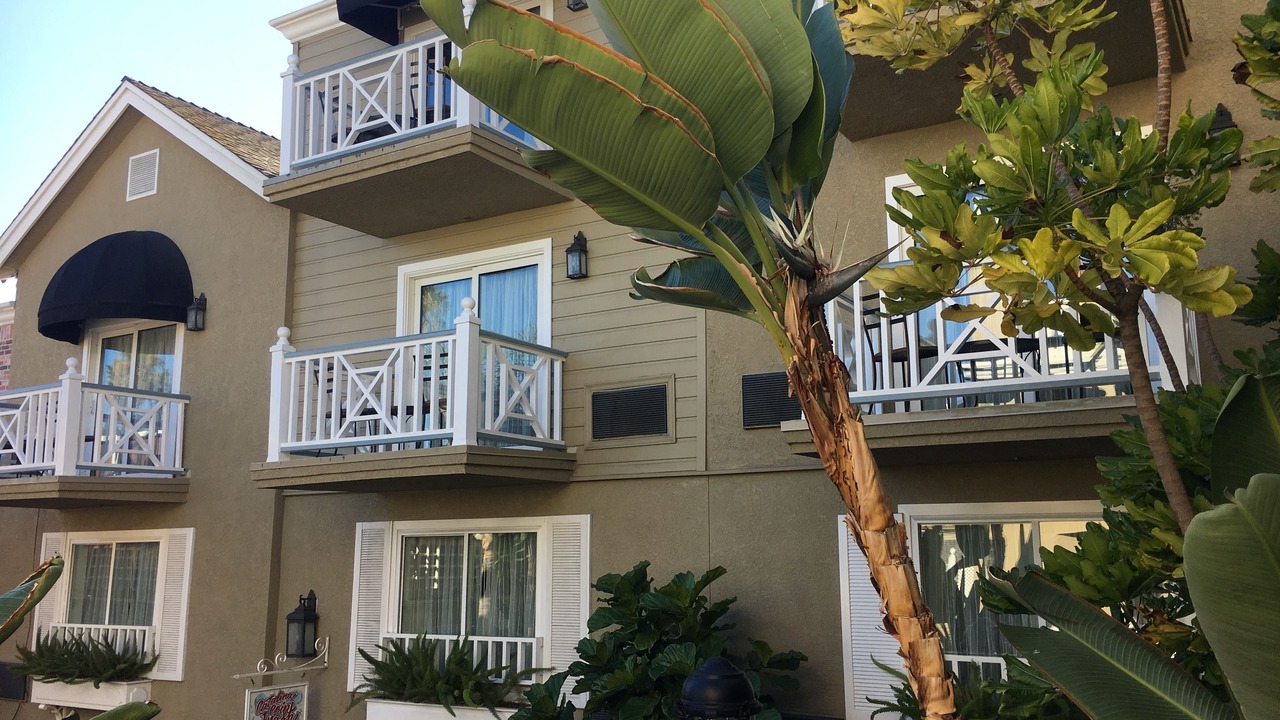 Photo of Outdoor in Avalon