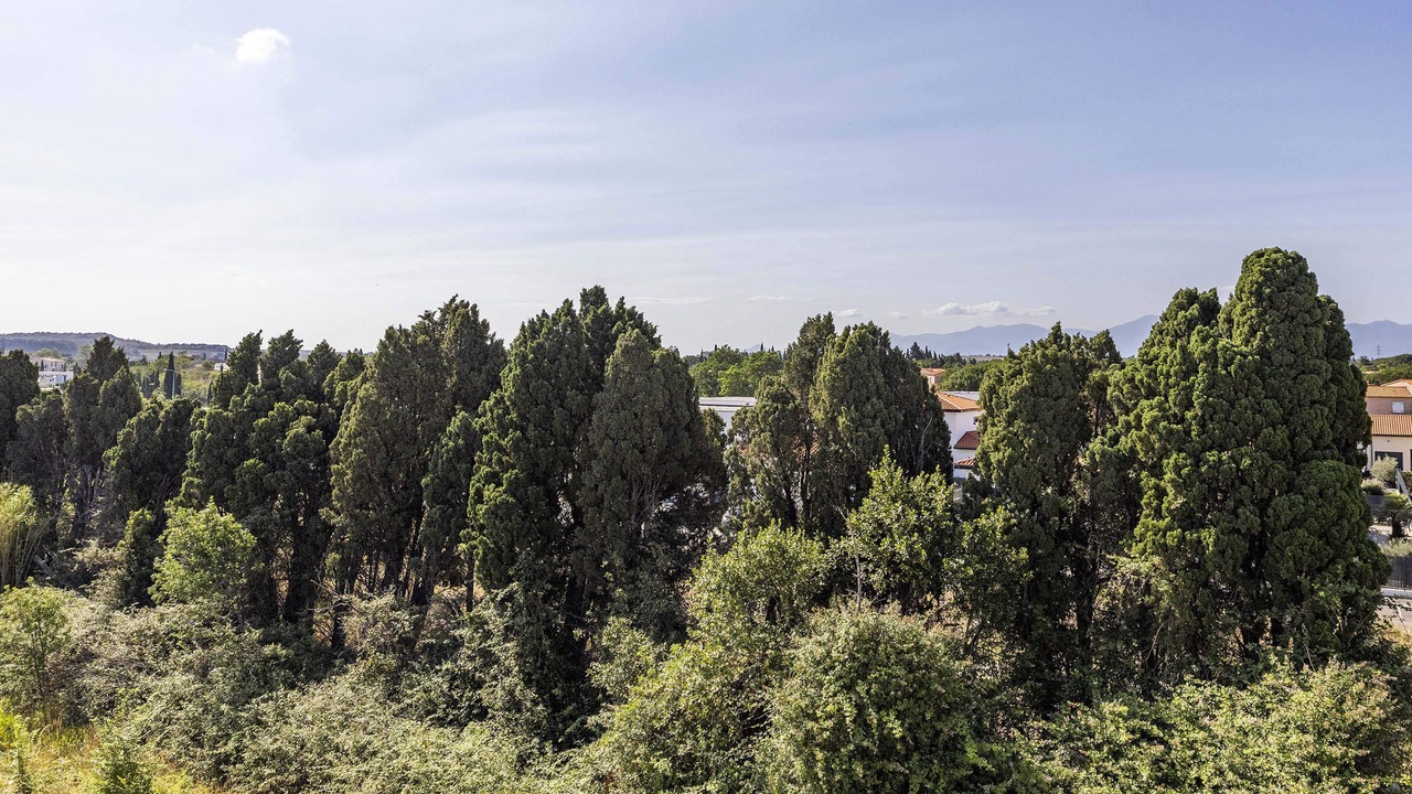 Photo of Others in Perpignan