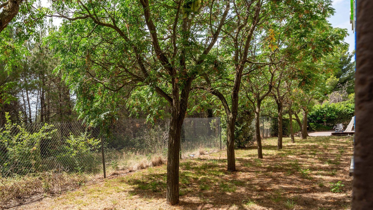 Photo of Outdoor in Saint-Jean-de-Vedas
