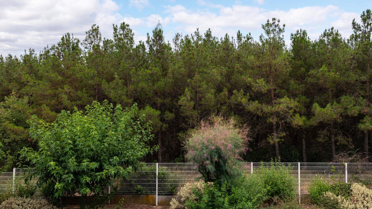 Photo of Others in Saint-Jean-de-Vedas