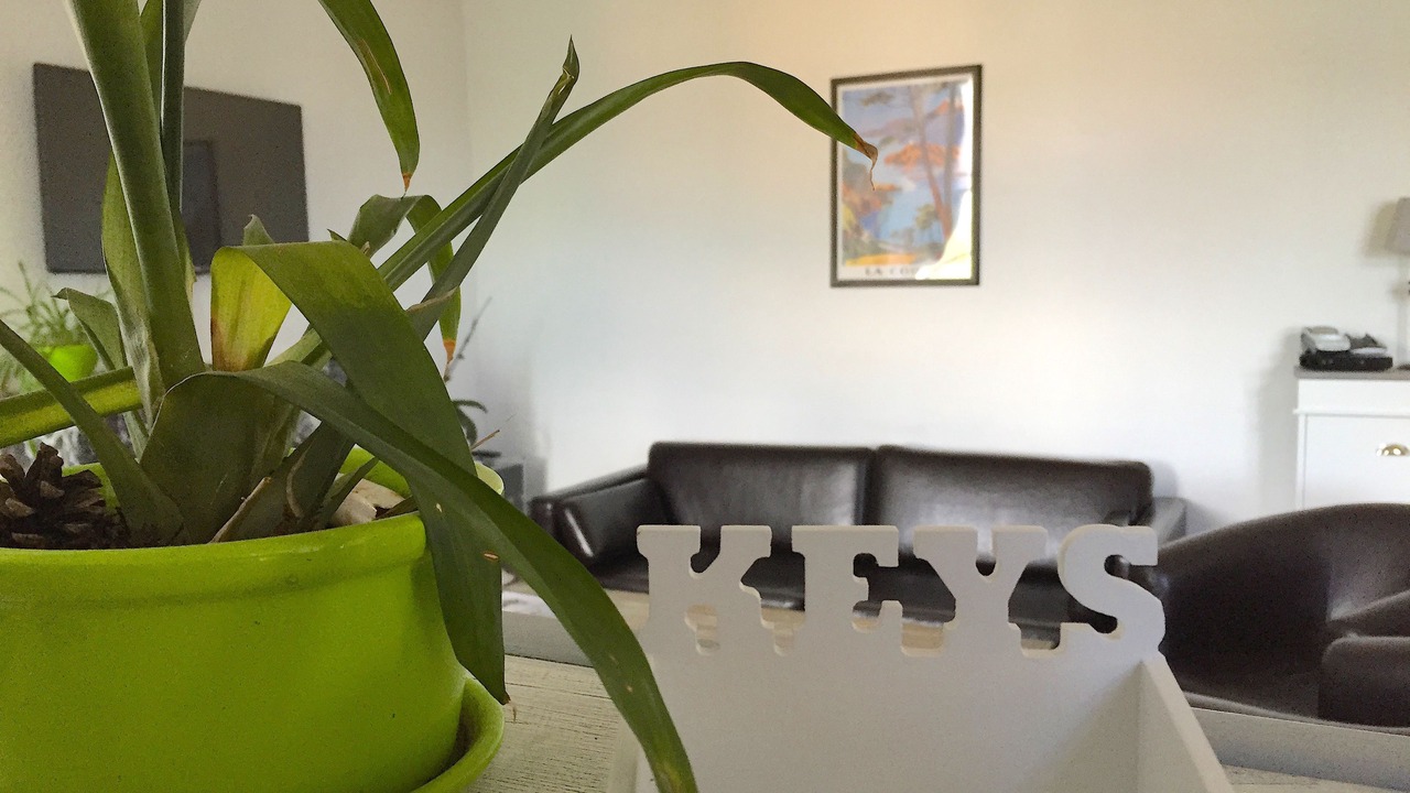 Photo of Others in Olivese