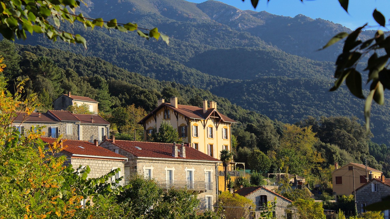 Photo of Others in Olivese