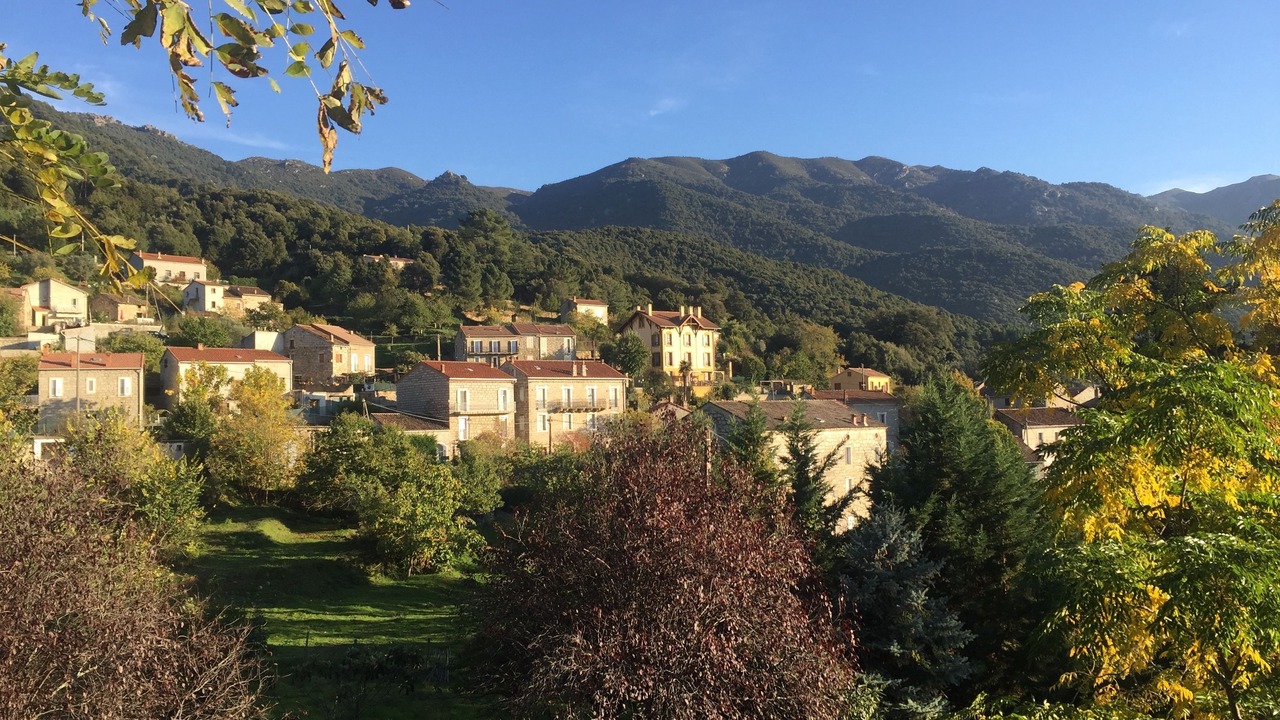 Photo of Others in Olivese