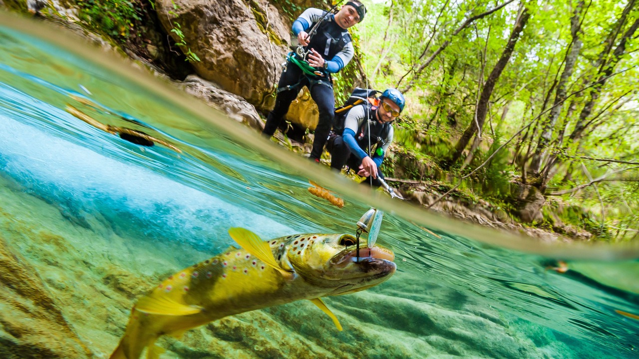 Photo of Others in Olivese