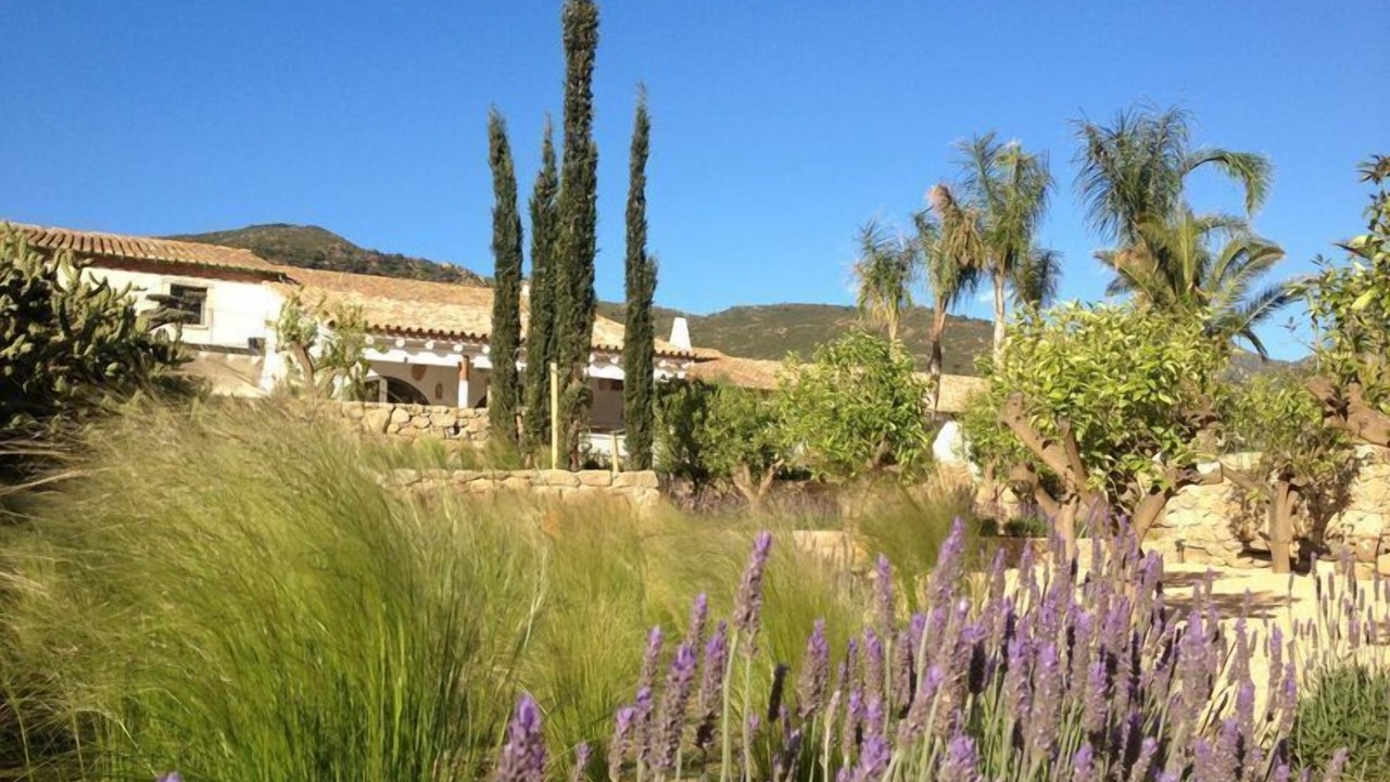 Photo of Outdoor in Pau
