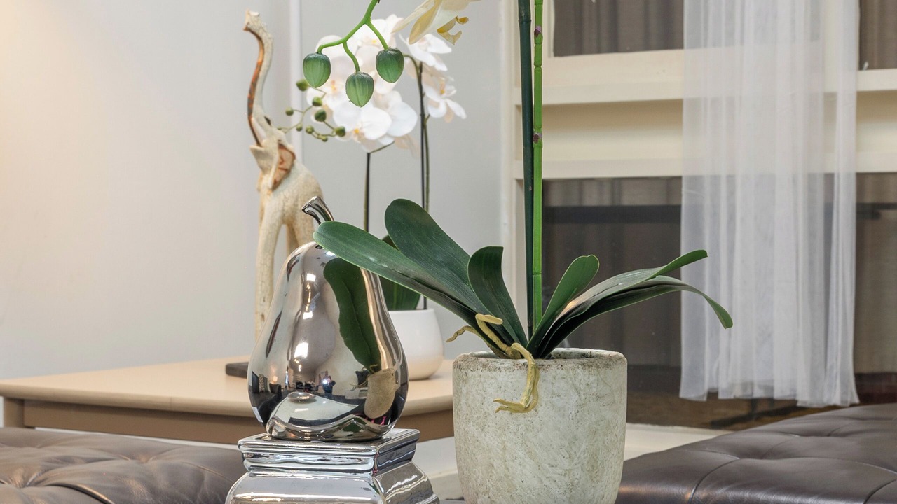 Photo of Bedroom in Glenunga