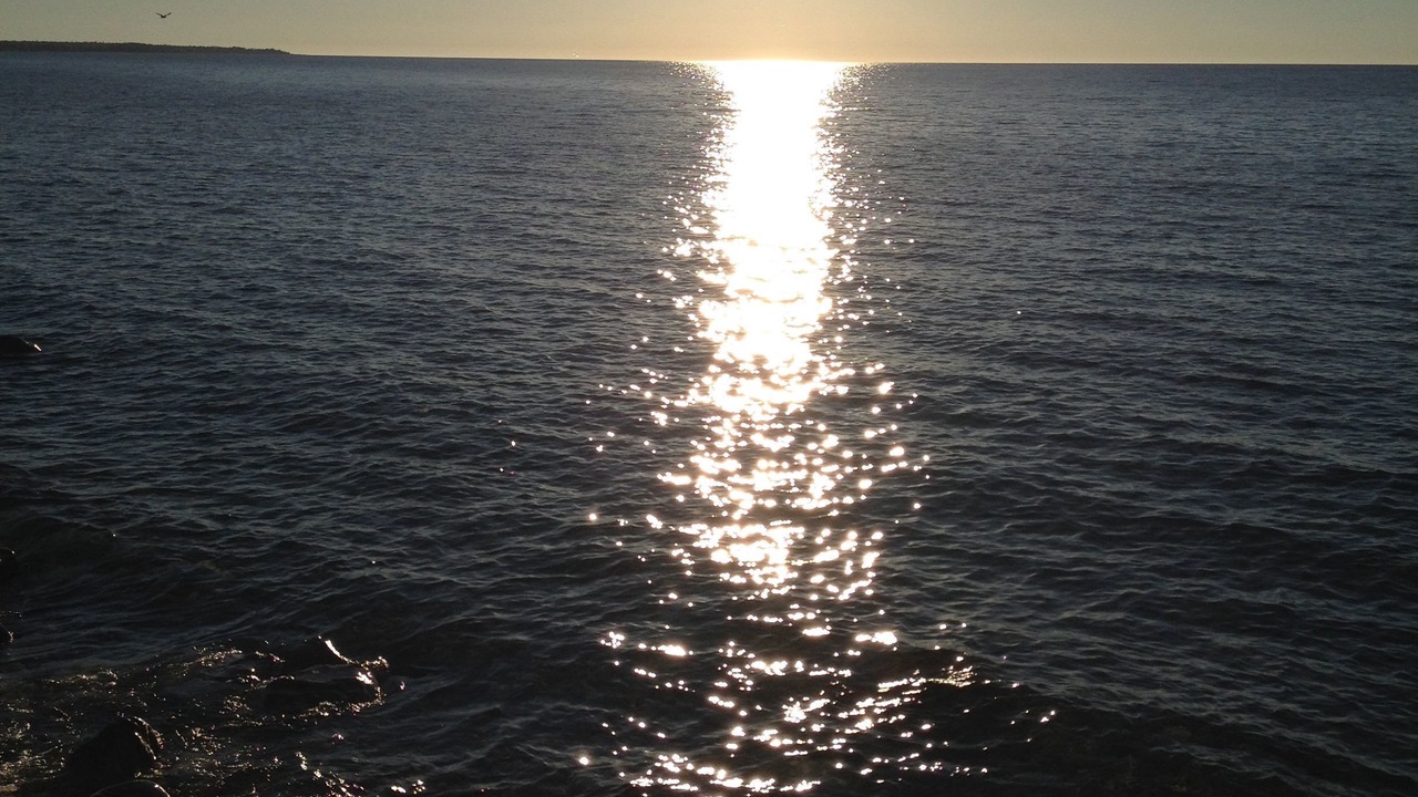 Photo of Others in Port Elgin