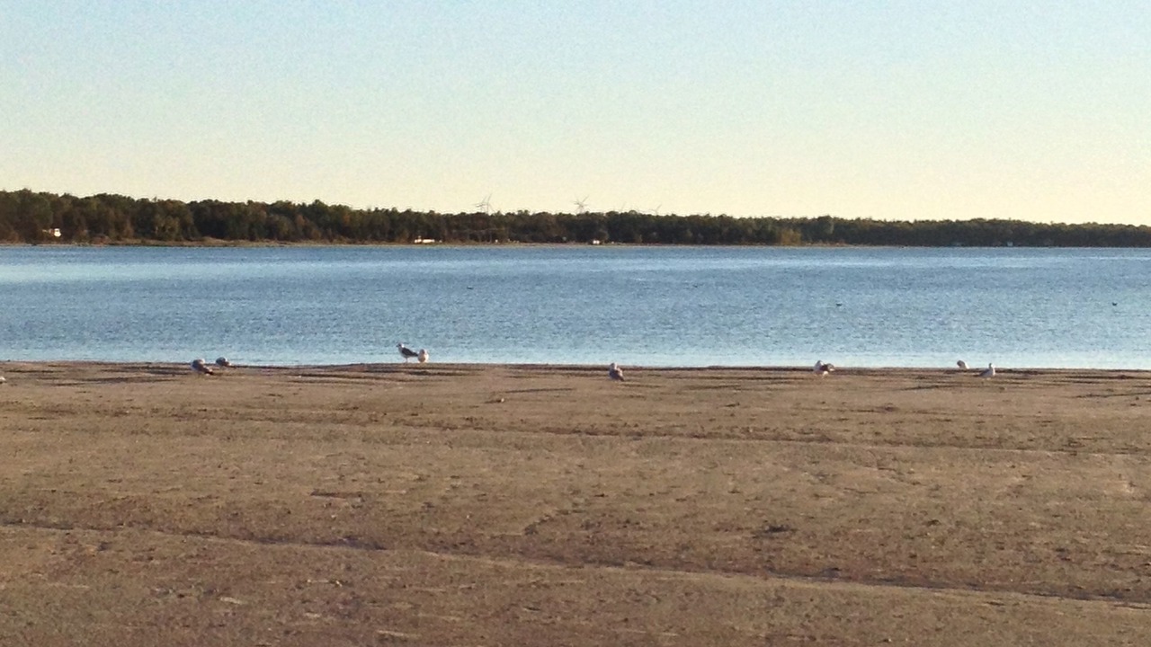 Photo of Others in Port Elgin