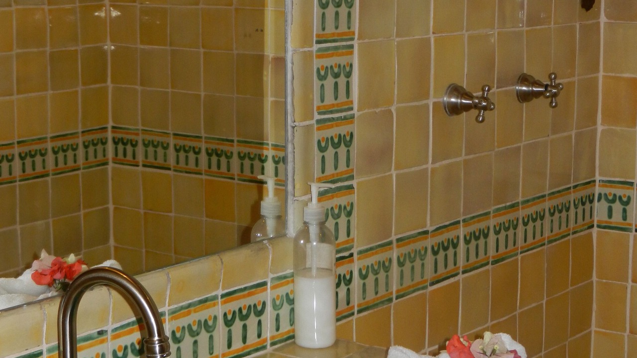 Photo of Bathroom in Centro
