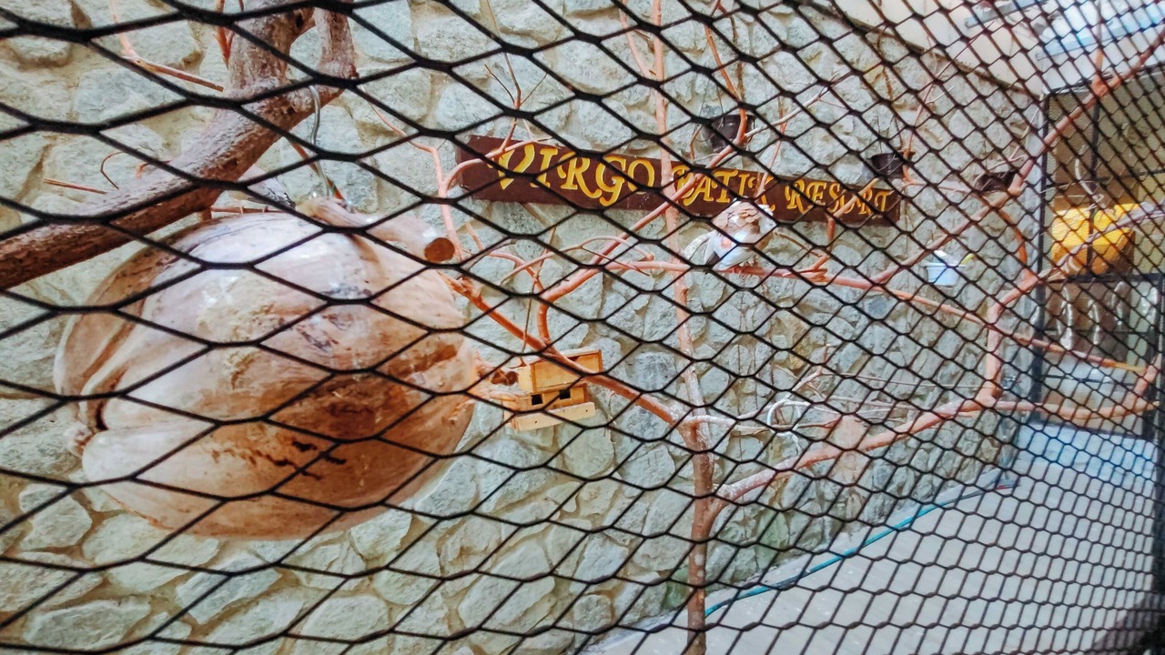 Photo of Patio Balcony in Lumut