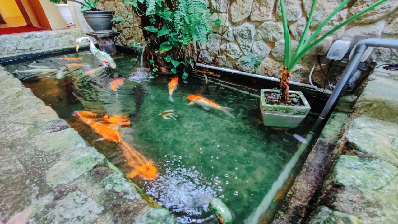 Photo of Patio Balcony in Lumut