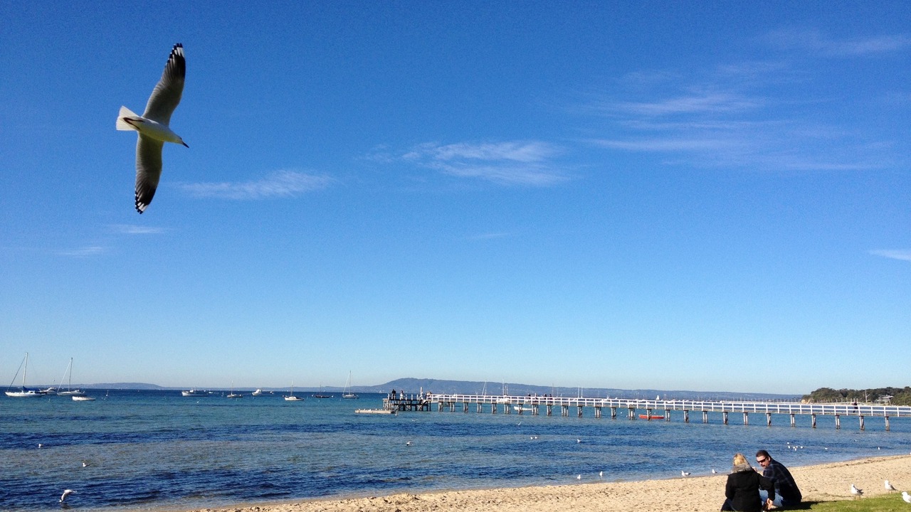 Photo of Others in Blairgowrie