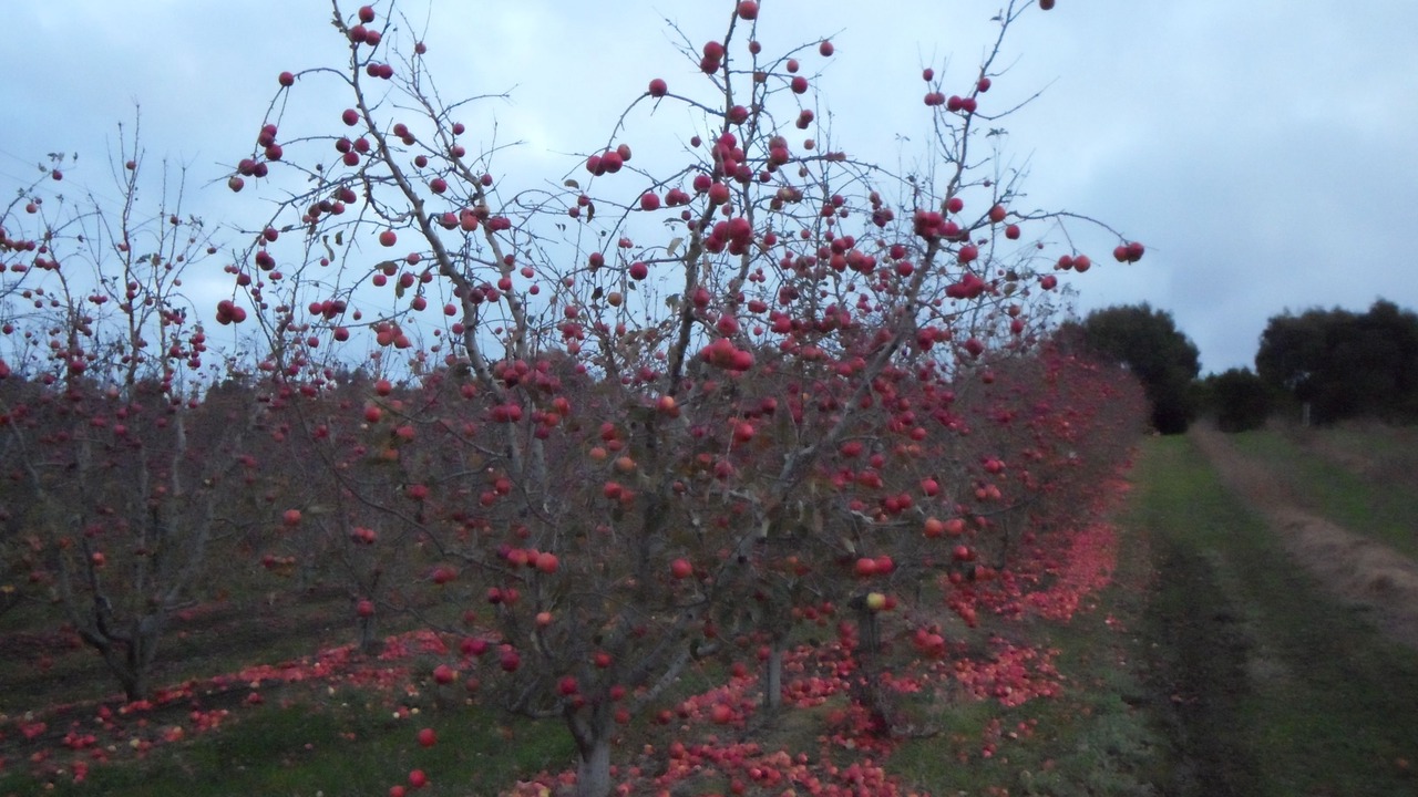Photo of Others in Blairgowrie