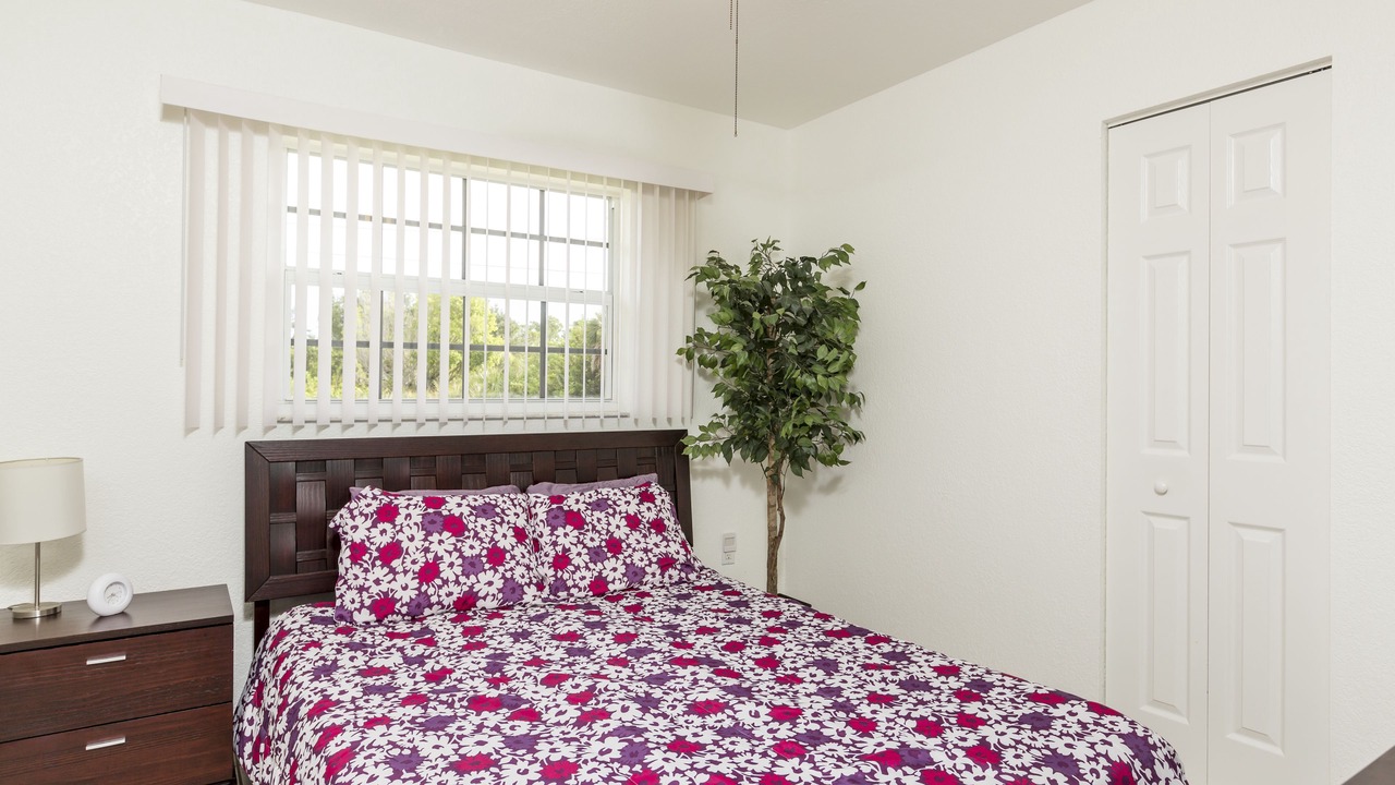 Photo of Outdoor in Port Charlotte