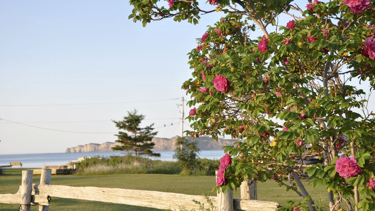 Photo of Others in Cap-des-Rosiers
