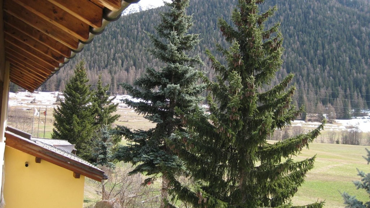 Photo of Outdoor in Zernez