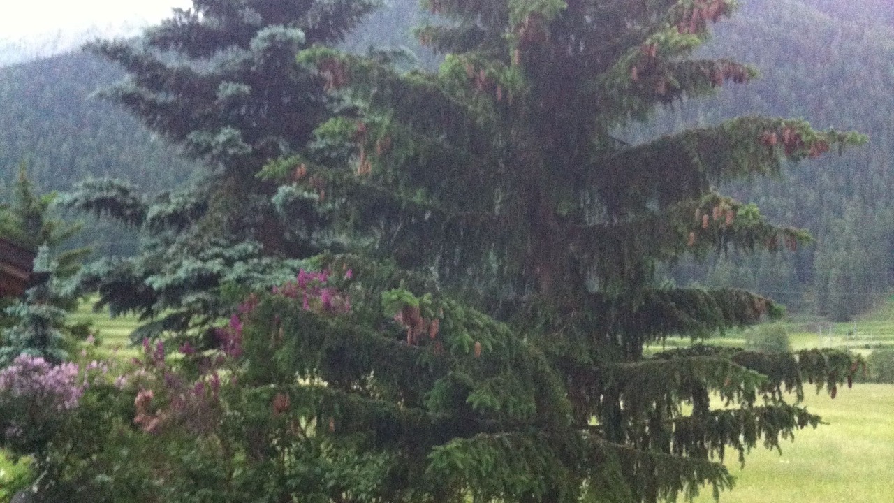 Photo of Others in Zernez