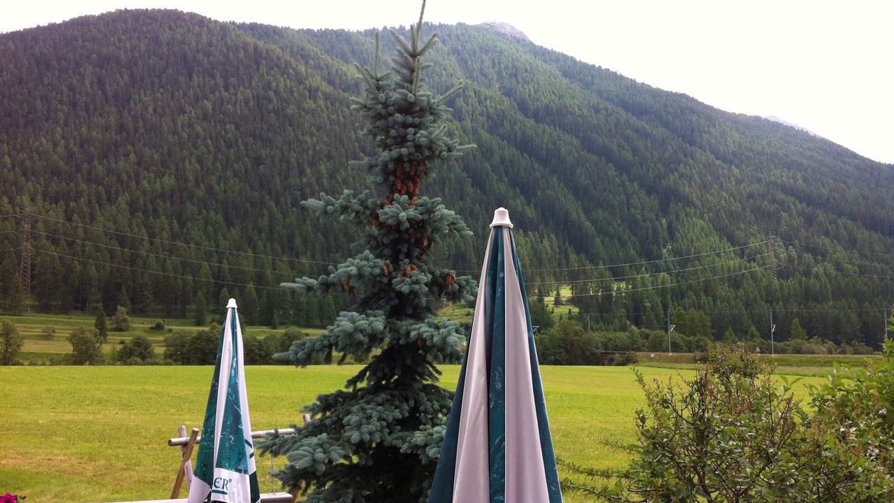 Photo of Others in Zernez