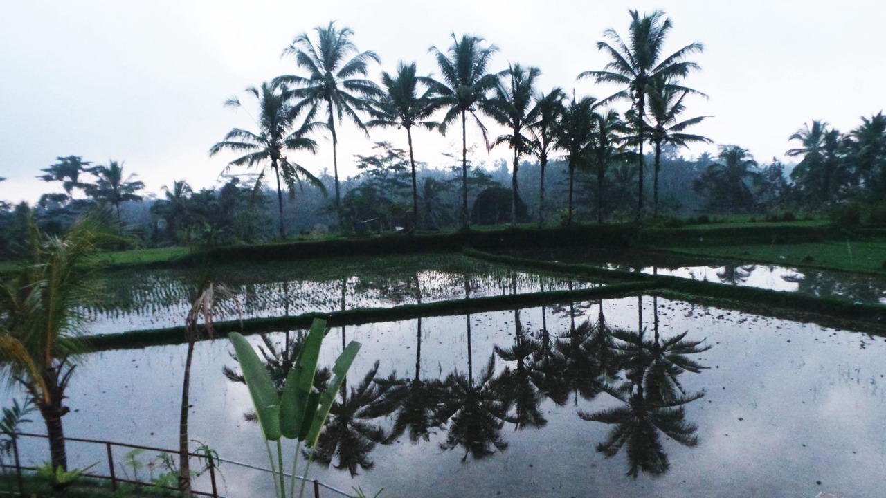 Photo of Others in Tegallalang