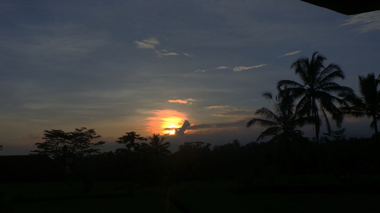 Photo of Others in Tegallalang