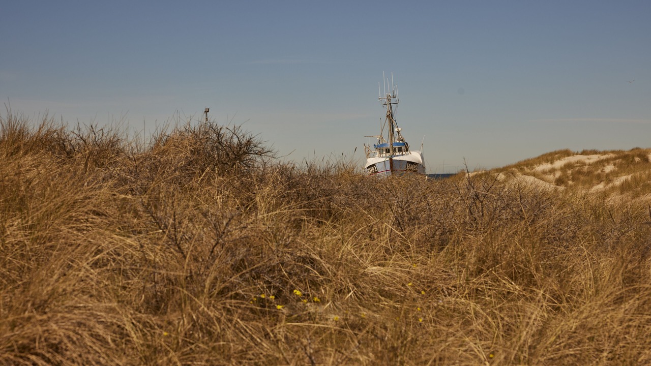 Photo of Others in Slette Strand