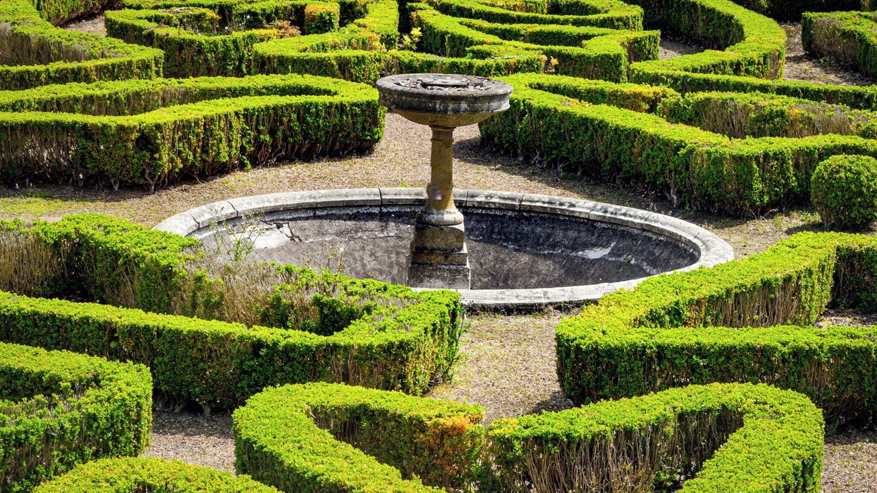 Photo of Others in Pittenweem