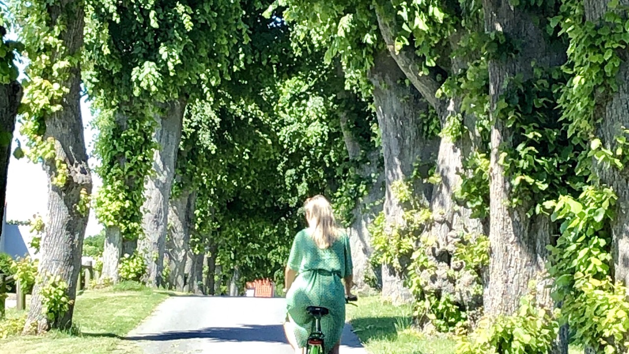 Photo of Outdoor in Svendborg