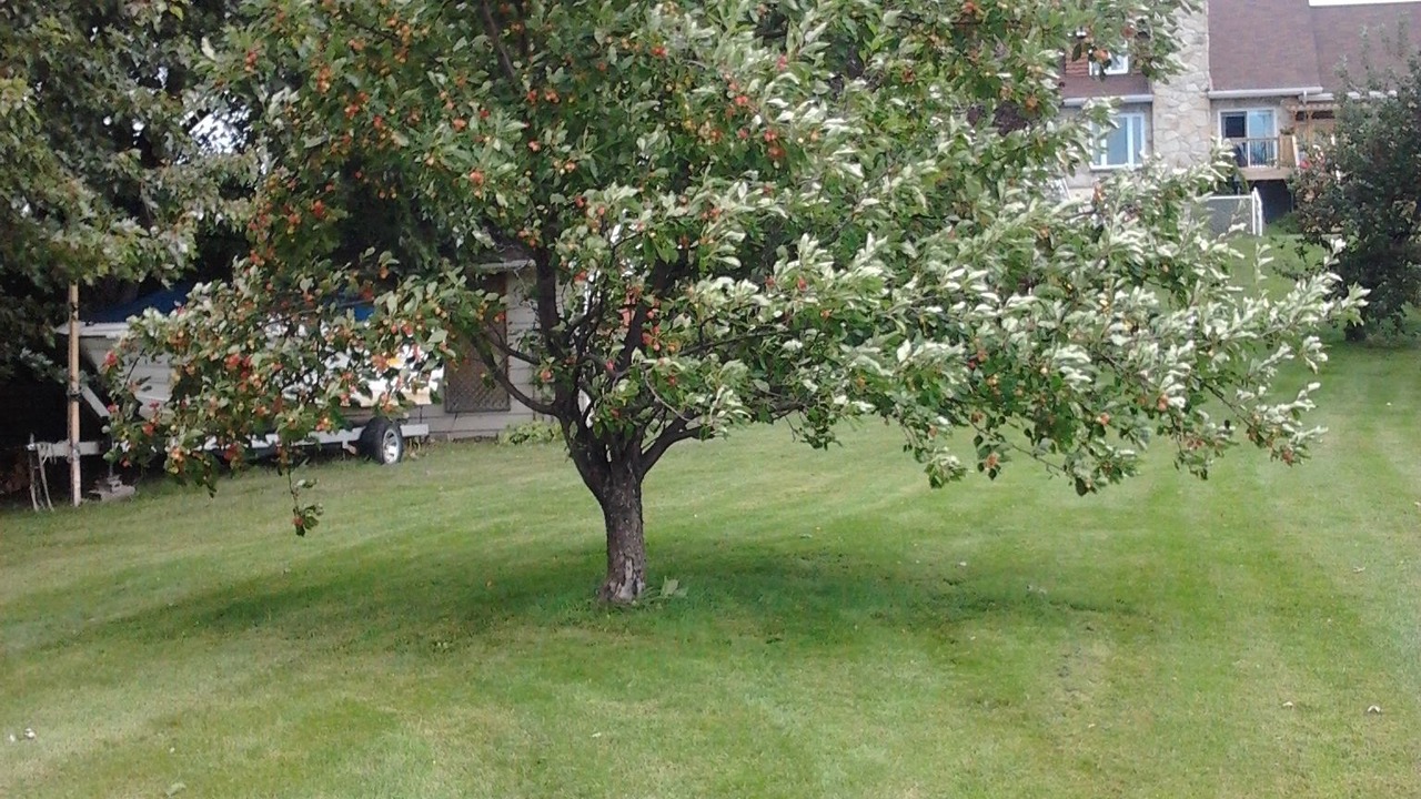 Photo of Outdoor in St. Felicien
