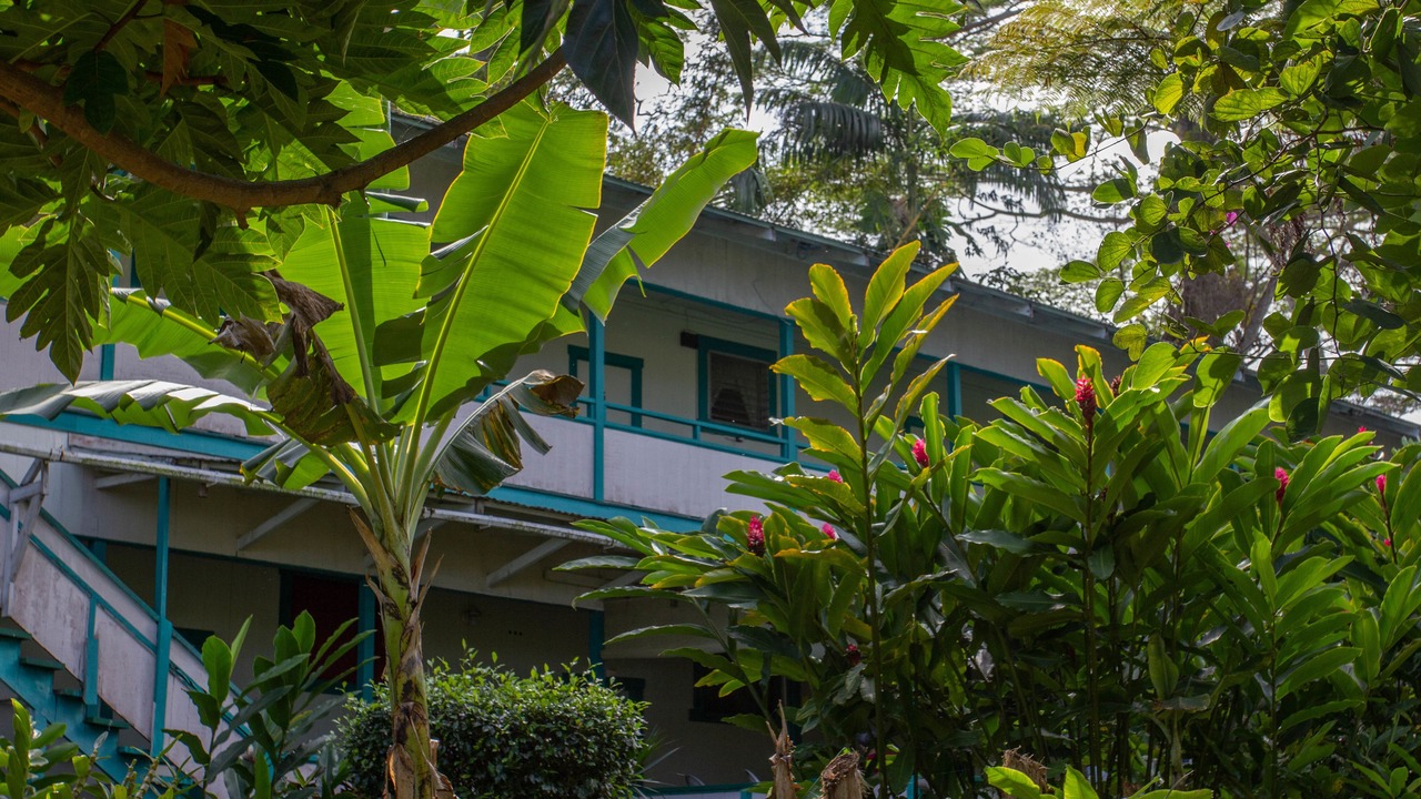 Photo of Outdoor in Hilo