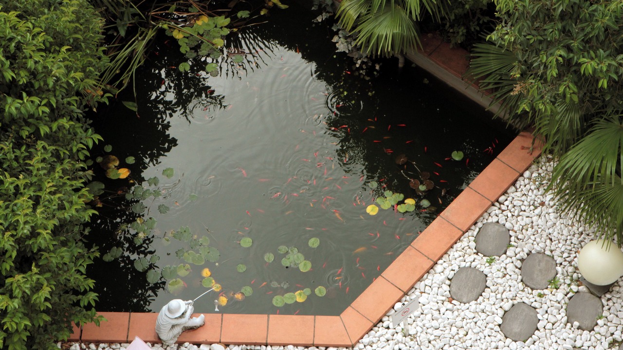 Photo of Outdoor in Compans-Caffarelli
