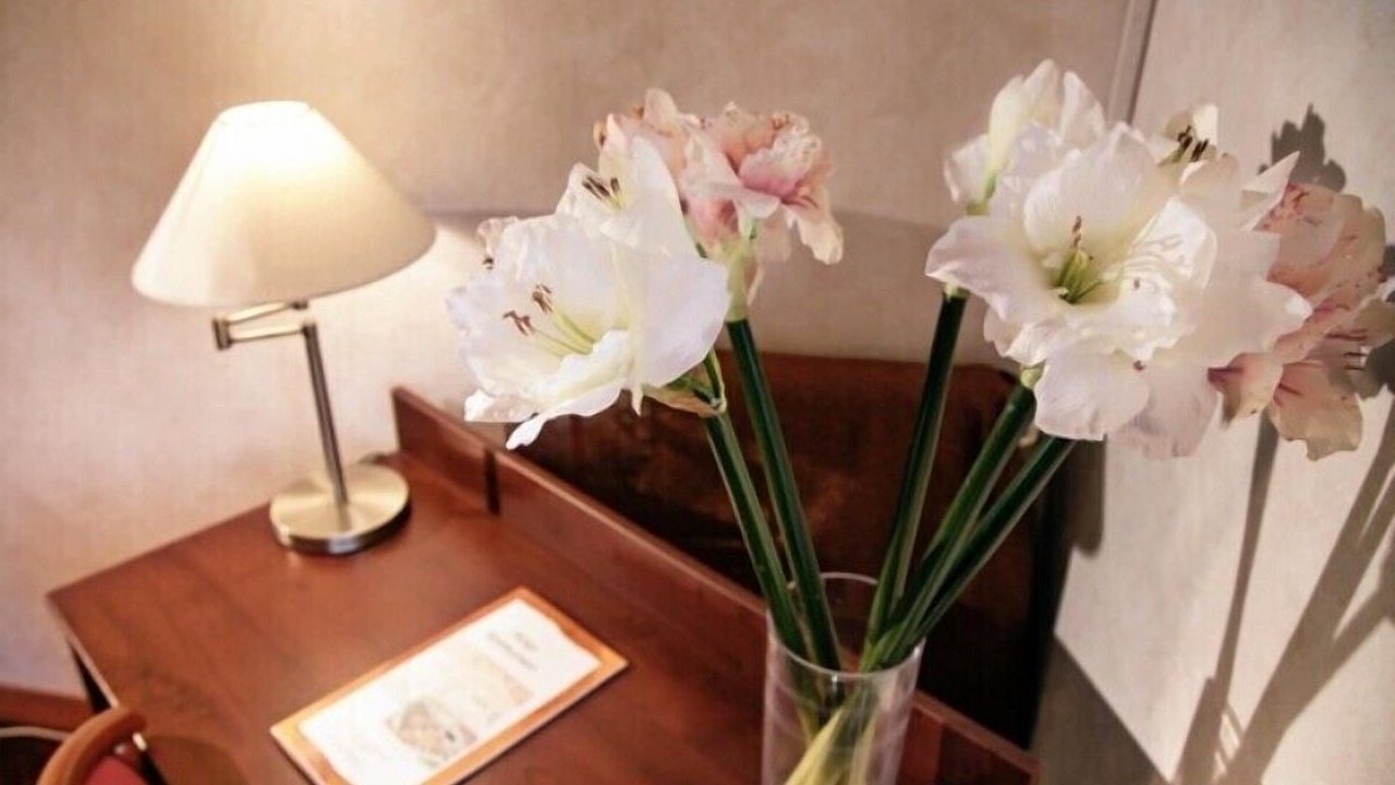 Photo of Bedroom in Amou