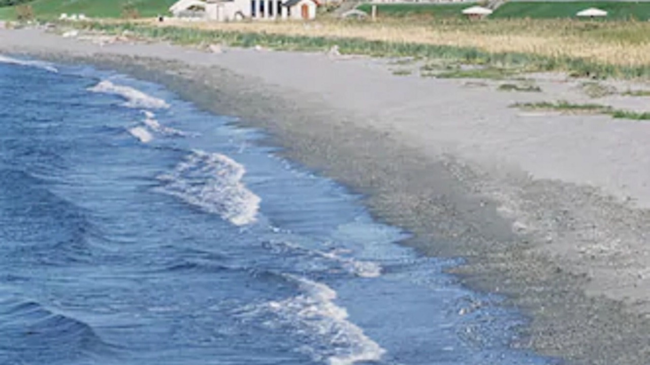 Photo of Others in Matane