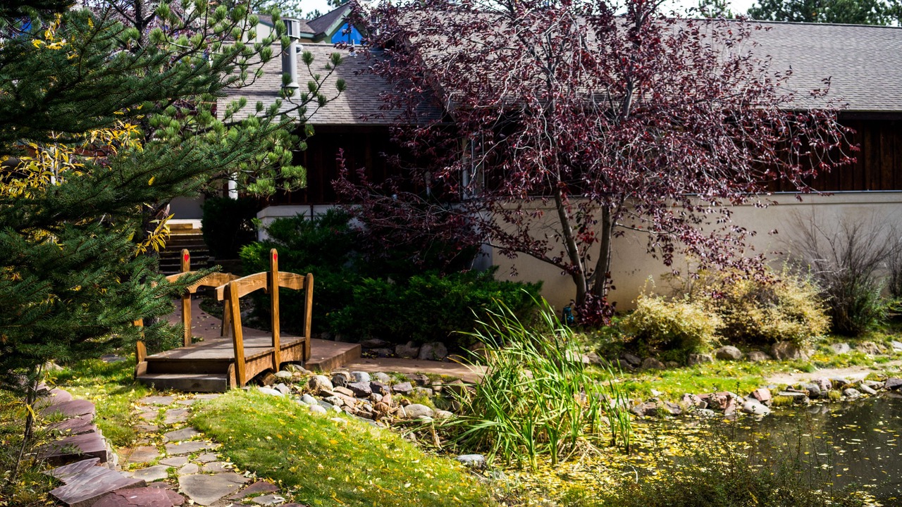 Photo of Outdoor in Estes Park
