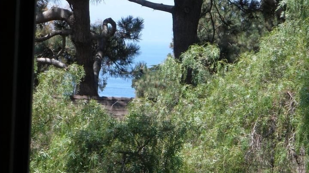 Photo of Bedroom in Del Mar