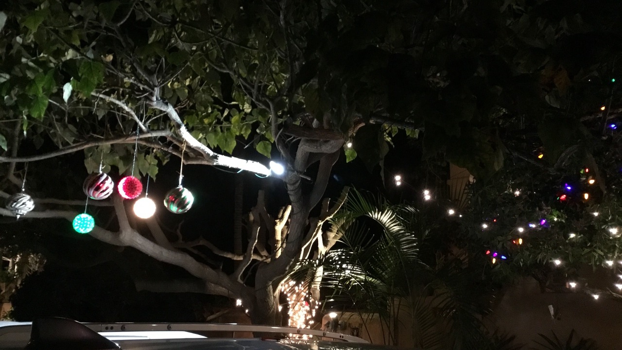 Photo of Outdoor in Del Mar