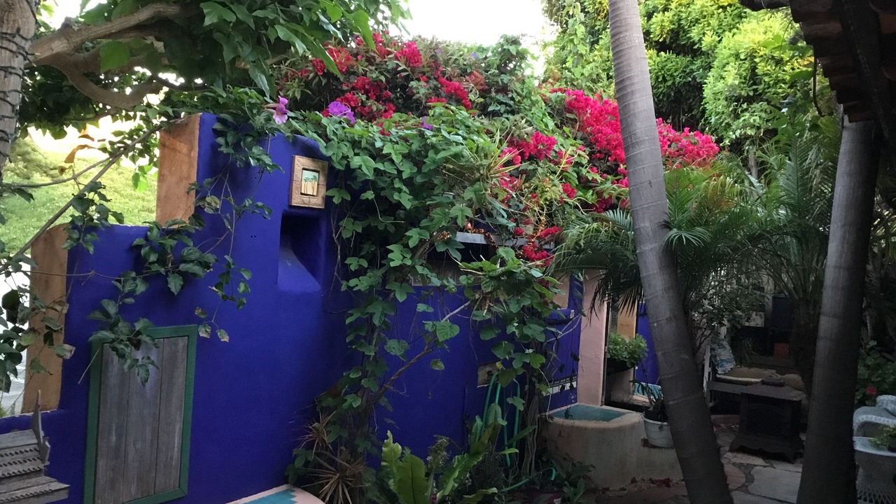 Photo of Outdoor in Del Mar