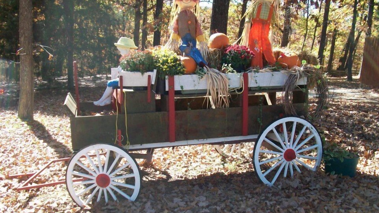 Photo of Outdoor in Branson West
