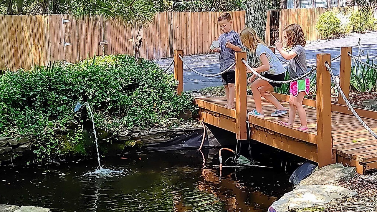 Photo of Outdoor in Branson West