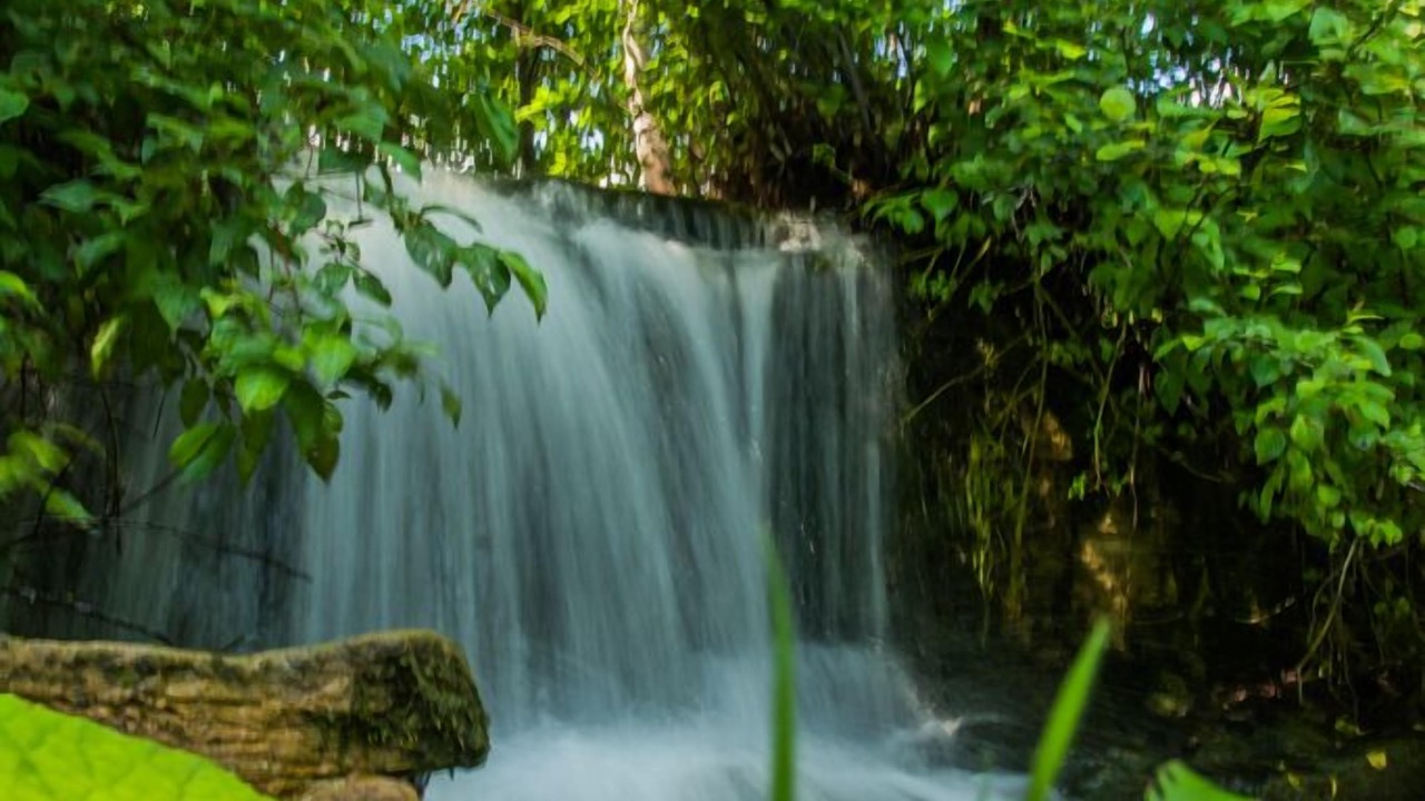 Photo of Outdoor in Petite-Riviere-Saint-Francois