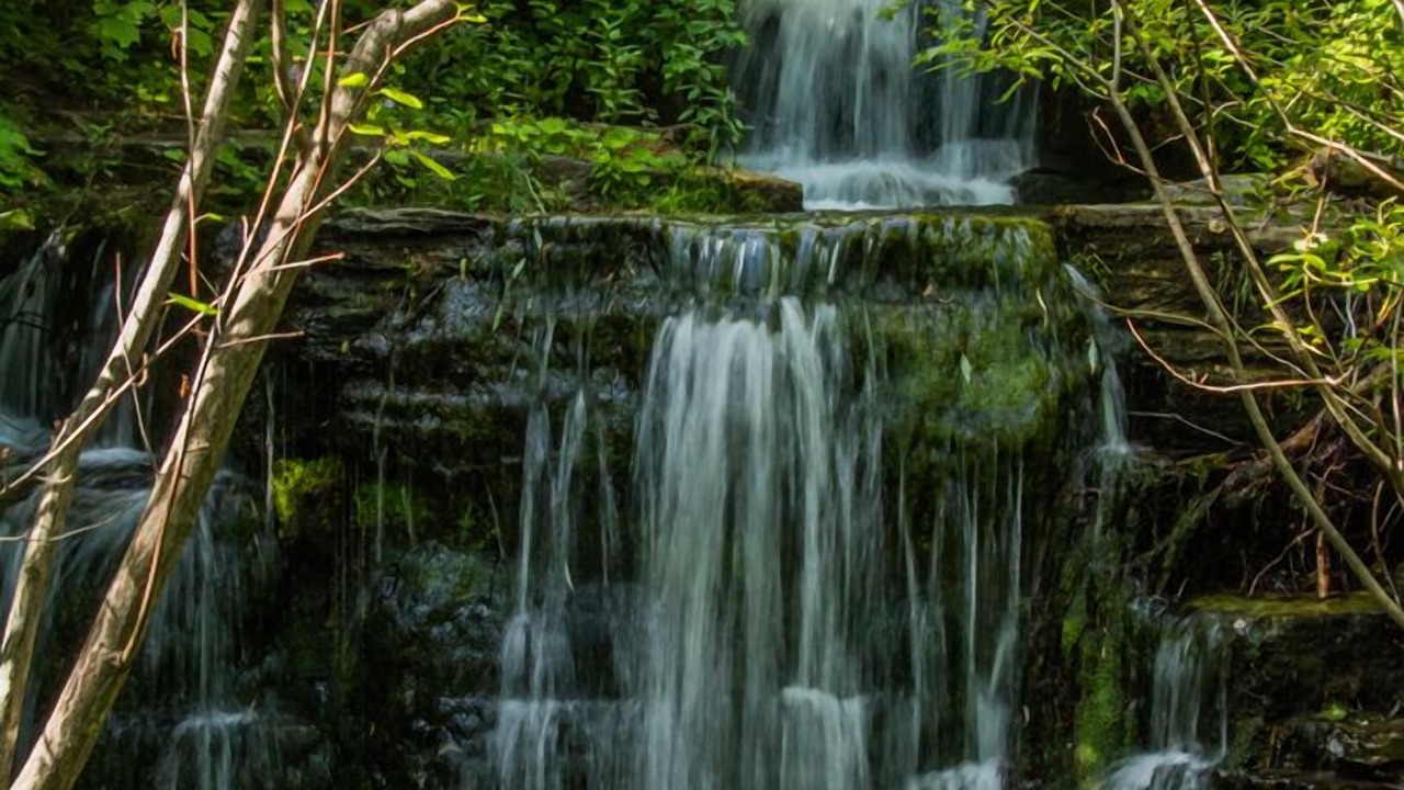 Photo of Outdoor in Petite-Riviere-Saint-Francois