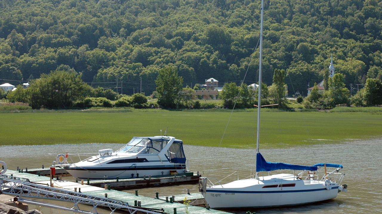 Photo of Others in Petite-Riviere-Saint-Francois