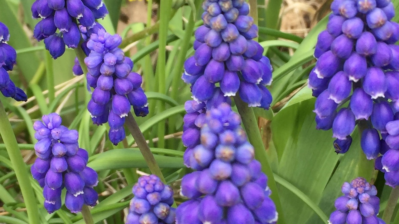 Photo of Outdoor in Dunsmuir