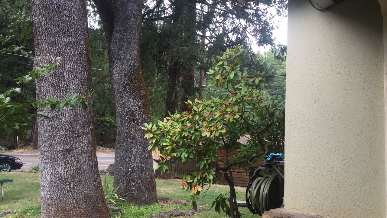 Photo of Bedroom in Dunsmuir