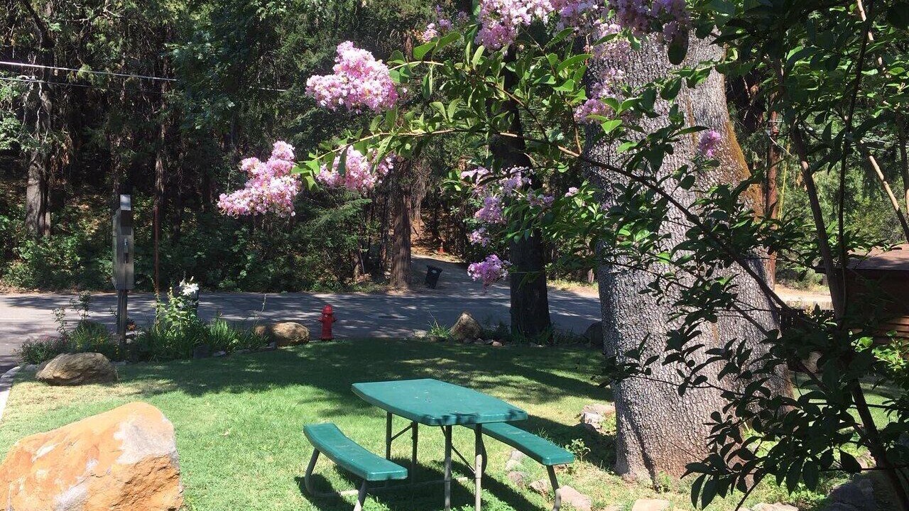 Photo of Bedroom in Dunsmuir