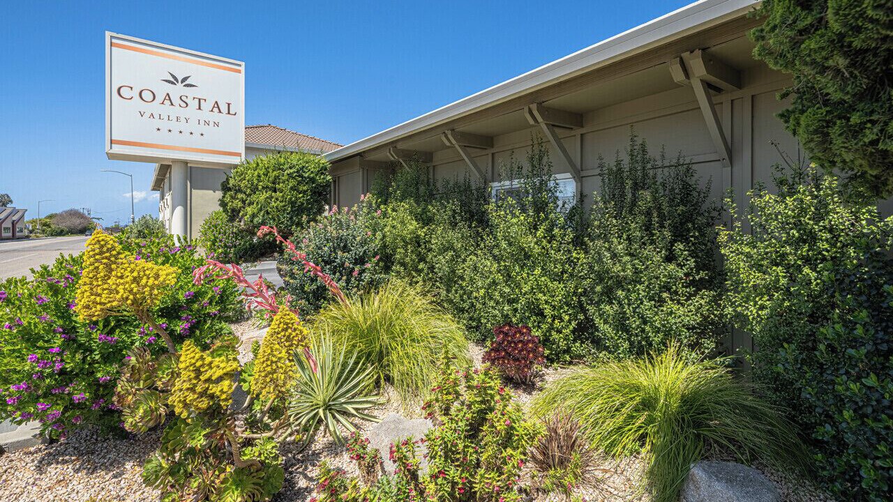 Photo of Outdoor in Castroville