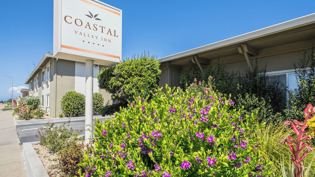 Photo of Outdoor in Castroville