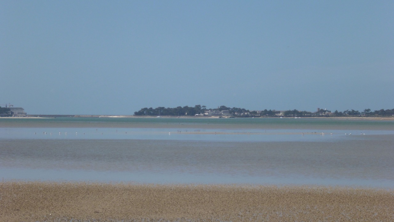 Photo of Others in Batz-sur-Mer