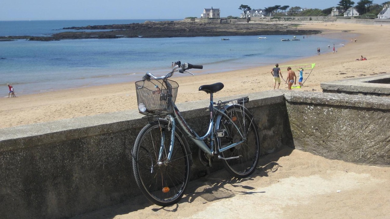 Photo of Others in Batz-sur-Mer